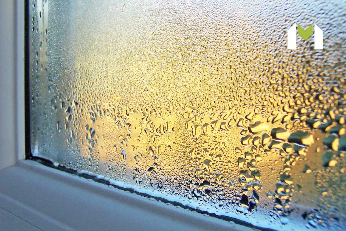 Reasons for Moisture in Buildings What Causes Moisture in Buildings